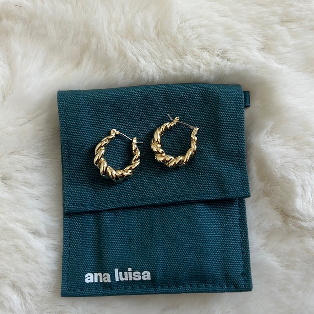 ANA LUISA Twist Earrings